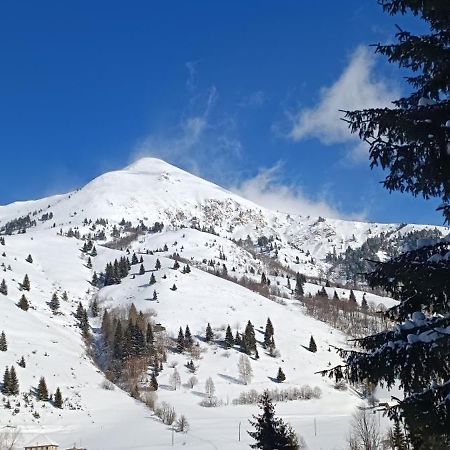 Pinetrees Lodge 플라브 외부 사진