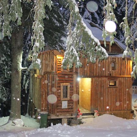 Pinetrees Lodge 플라브 외부 사진