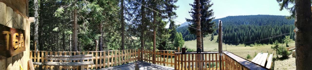 Pinetrees Lodge 플라브 외부 사진