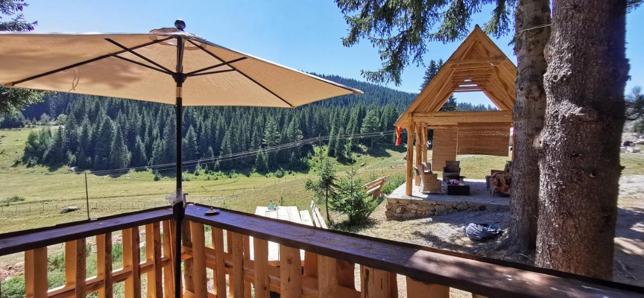 Pinetrees Lodge 플라브 외부 사진