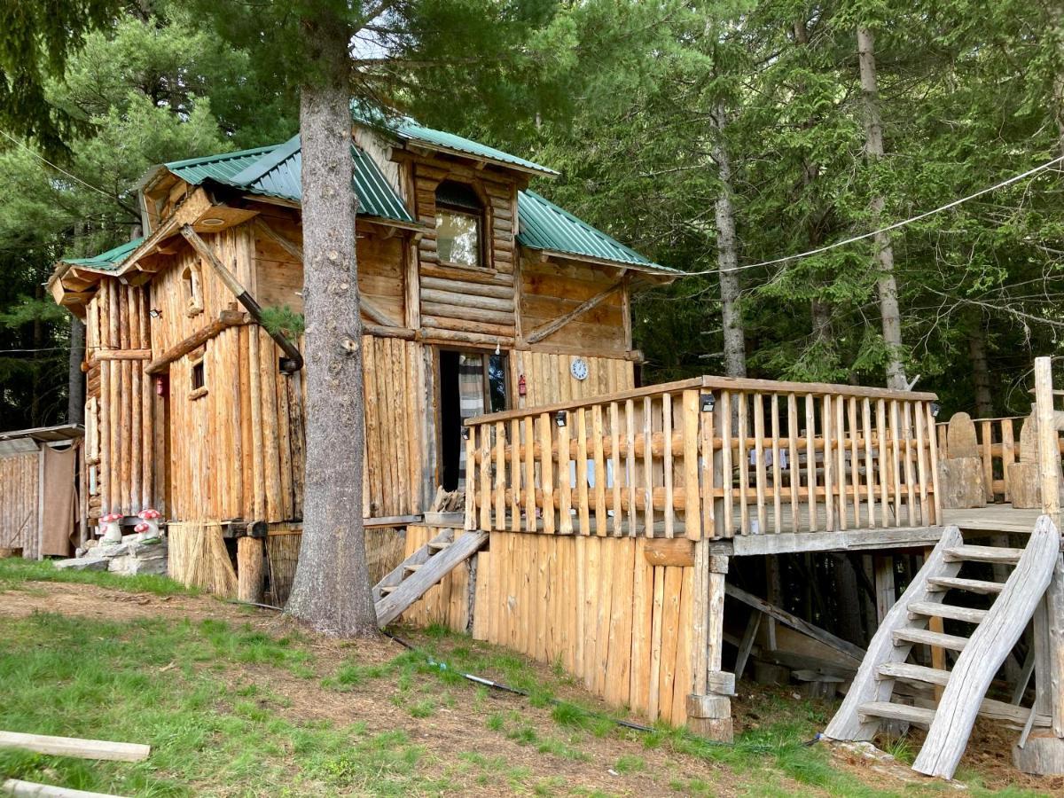 Pinetrees Lodge 플라브 외부 사진