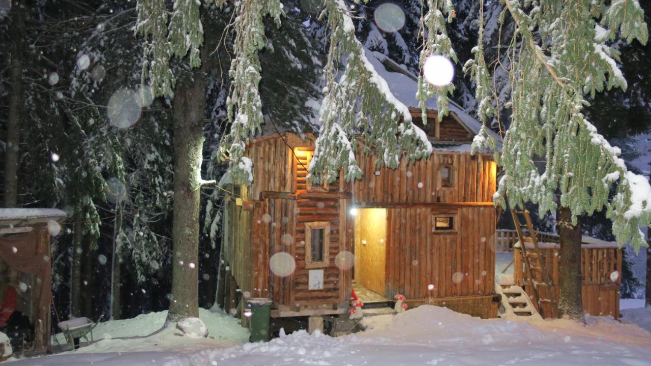 Pinetrees Lodge 플라브 외부 사진