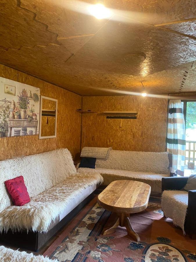 Pinetrees Lodge 플라브 외부 사진