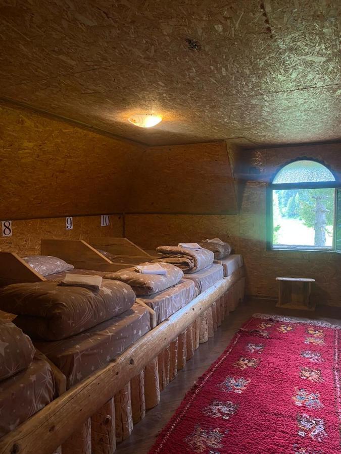 Pinetrees Lodge 플라브 외부 사진